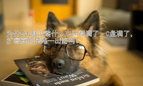 为什么C盘没装什么东西都满了，C盘满了，扩容真的是唯一出路吗？插图