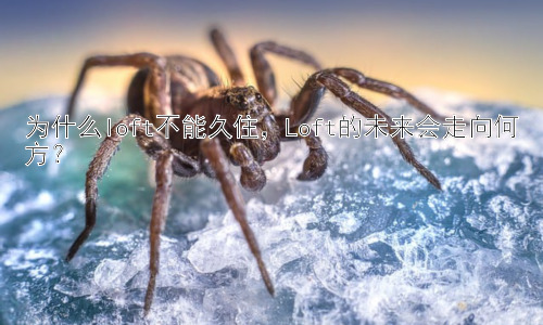 为什么loft不能久住，Loft的未来会走向何方？插图