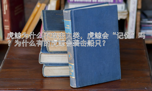虎鲸为什么不攻击人类，虎鲸会“记仇”吗？为什么有的虎鲸会袭击船只？插图