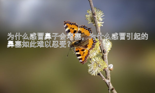 为什么感冒鼻子会堵塞，为什么感冒引起的鼻塞如此难以忍受？插图