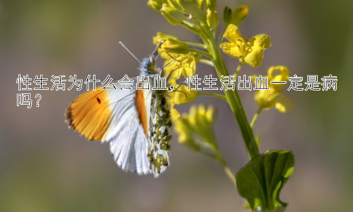 性生活为什么会出血，性生活出血一定是病吗？插图