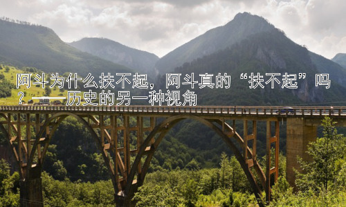 阿斗为什么扶不起，阿斗真的“扶不起”吗？——历史的另一种视角插图