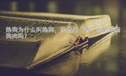热狗为什么叫热狗，热狗的“狗”真的是指狗肉吗？插图