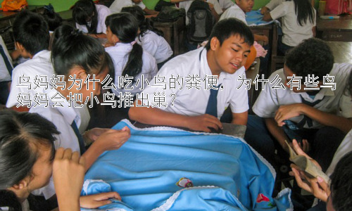 鸟妈妈为什么吃小鸟的粪便，为什么有些鸟妈妈会把小鸟推出巢？插图