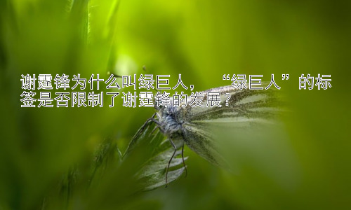 谢霆锋为什么叫绿巨人， “绿巨人”的标签是否限制了谢霆锋的发展？插图