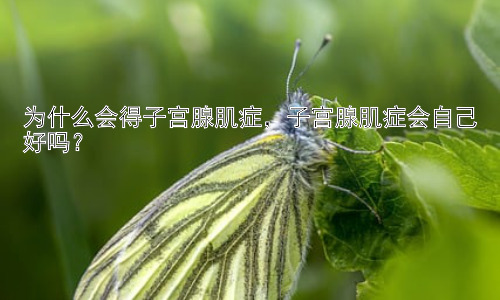 为什么会得子宫腺肌症，子宫腺肌症会自己好吗？插图