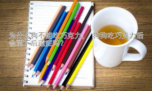 为什么狗不能吃巧克力， 狗狗吃巧克力后会留下后遗症吗？插图