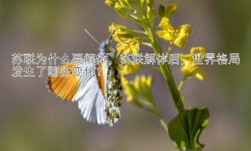 苏联为什么要解体，苏联解体后，世界格局发生了哪些变化？插图