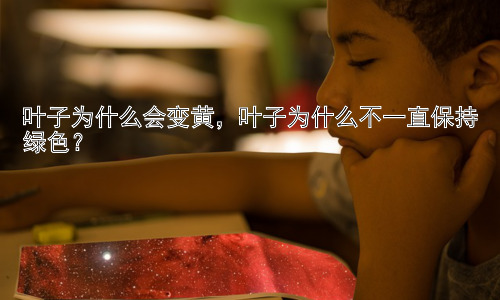 叶子为什么会变黄，叶子为什么不一直保持绿色？插图