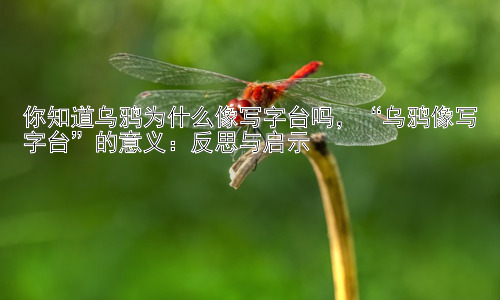 你知道乌鸦为什么像写字台吗，“乌鸦像写字台”的意义：反思与启示插图