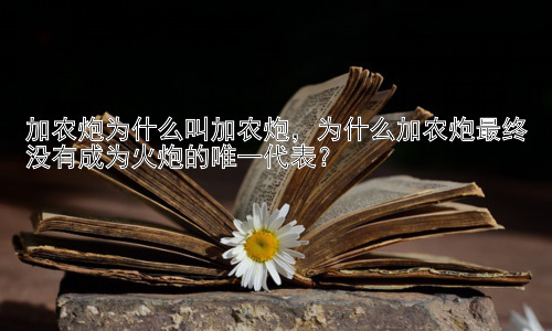 加农炮为什么叫加农炮，为什么加农炮最终没有成为火炮的唯一代表？插图