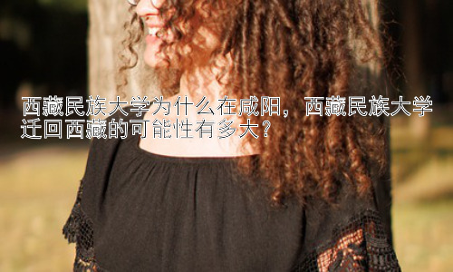 西藏民族大学为什么在咸阳，西藏民族大学迁回西藏的可能性有多大？插图