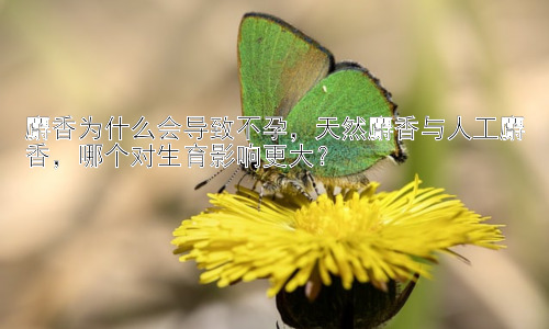 麝香为什么会导致不孕，天然麝香与人工麝香，哪个对生育影响更大？插图
