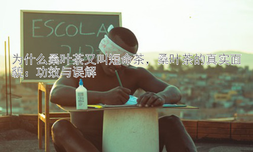 为什么桑叶茶又叫短命茶，桑叶茶的真实面貌：功效与误解插图