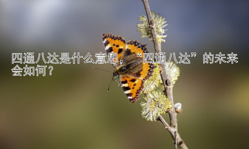 四通八达是什么意思，“四通八达”的未来会如何？插图