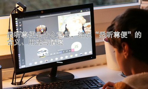 悉听尊便是什么意思，细说“悉听尊便”的含义、用法与情境插图