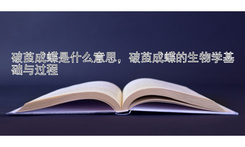 破茧成蝶是什么意思，破茧成蝶的生物学基础与过程插图