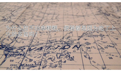 为什么拉不出来粑粑，便秘都是因为吃了上火的东西吗？插图